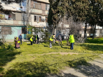 Xətai rayonunda təmizlik və abadlıq işləri çərçivəsində iməcilik və ağacəkmə aksiyası keçirilib
