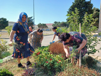 Xətai rayonunda növbəti iməcik keçirilir