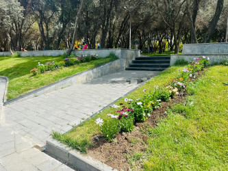 “Konstitusiya və Suverenlik ili” çərçivəsində ümumrayon iməcliyi aksiyası təşkil olundu
