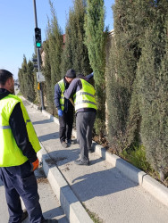 Xətai rayonunda təmizlik və abadlıq işləri çərçivəsində iməcilik və ağacəkmə aksiyası keçirilib