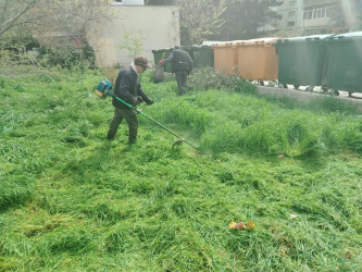 Xətai rayonunda “Konstitusiya və Suverenlik ili” çərçivəsində ümumrayon iməcliyi və ağacəkmə aksiyası təşkil olunub.