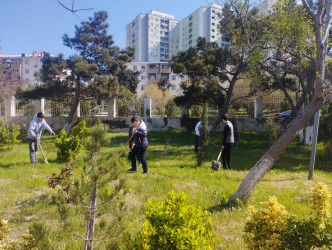 Xətai rayonunda təmizlik və abadlıq işləri çərçivəsində iməcilik və ağacəkmə aksiyası keçirilib