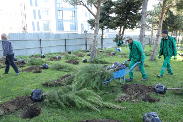 18 aprel 2026-cı il tarixində Xətai rayonunda “Şəhərsalma və Memarlıq ili” çərçivəsində ağacəkmə aksiyası keçirilib