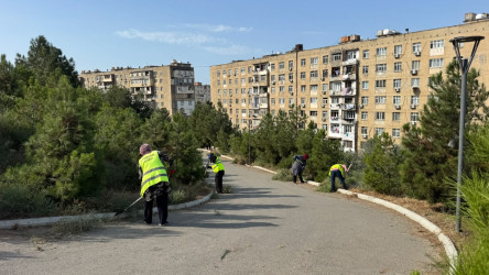05.09.2026-cı il tarixində Xətai rayonunda təmizlik və abadlıq iməciliyi keçirilib