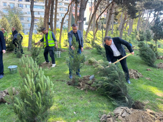  Xətai rayonunda Ümummilli lider Heydər Əliyevin anadan olmasının 103-cü ildönümü münasibətilə silsilə tədbirlər keçirilib.