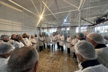 Xətai rayonunda qanunsuz kəsim məntəqələrinə qarşı reydlər davam etdirilib