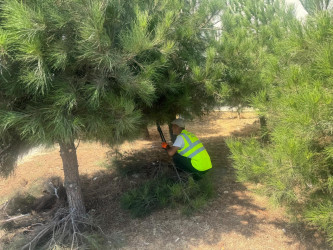 29 avqust 2026-cı il tarixində Xətai rayonunda təmizlik və abadlıq iməciliyi keçirilib