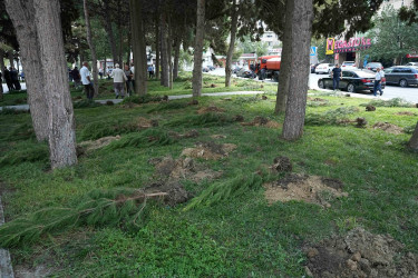 27 Sentyabr – Anım Günü ilə əlaqədar Xətai rayonunda ağacəkmə aksiyası keçirilib və ehsan süfrəsi təşkil olunub
