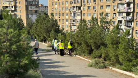 05.09.2026-cı il tarixində Xətai rayonunda təmizlik və abadlıq iməciliyi keçirilib
