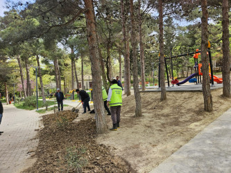 Xətai rayonunda növbəti yaşıllaşdırma tədbiri keçirilib