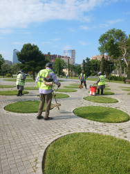 23.05.2026-cı ildə Xətai rayonunda təmizliklə bağlı iməclik keçirilib