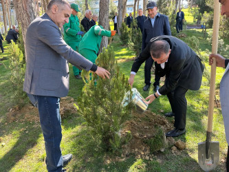  Xətai rayonunda Ümummilli lider Heydər Əliyevin anadan olmasının 103-cü ildönümü münasibətilə silsilə tədbirlər keçirilib.