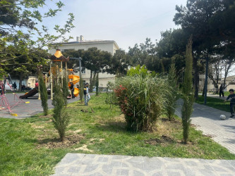 Xətai rayonunda növbəti yaşıllaşdırma tədbiri keçirilib