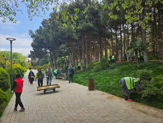 Xətai rayonunda növbəti yaşıllaşdırma tədbiri keçirilib