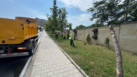 Xətai rayonunda iyul ayı ərzində təmizlik və yaşıllaşdırma tədbirləri davam etdirilib