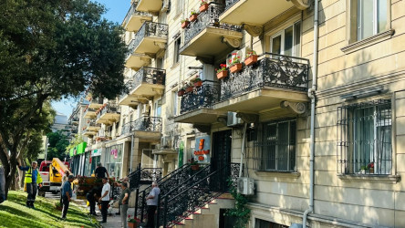Bir gül də sən ək!