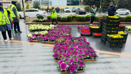 Xətai rayonunda Xocalı soyqırımının 34-cü ildönümü ilə bağlı hazırlıq işləri yekunlaşıb+VİDEO