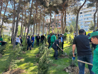  Xətai rayonunda Ümummilli lider Heydər Əliyevin anadan olmasının 103-cü ildönümü münasibətilə silsilə tədbirlər keçirilib.