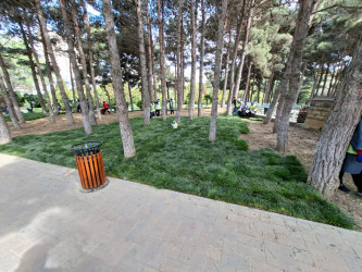 Xətai rayonunda növbəti yaşıllaşdırma tədbiri keçirilib