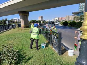 Xətai rayonunda iyul ayı ərzində təmizlik və yaşıllaşdırma tədbirləri davam etdirilib