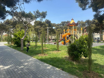 Xətai rayonunda növbəti yaşıllaşdırma tədbiri keçirilib