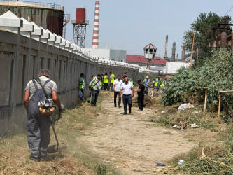 Xətai rayonunda iyul ayı ərzində təmizlik və yaşıllaşdırma tədbirləri davam etdirilib