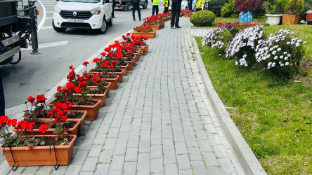 Xətai rayonu ərazisində abadlıq və yaşıllaşdırma işləri davam etdirilir