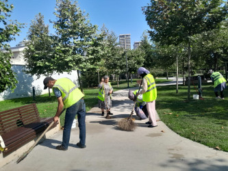 Xətai rayonunda iyul ayı ərzində təmizlik və yaşıllaşdırma tədbirləri davam etdirilib