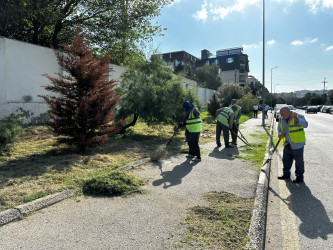 19 sentyabr 2026-cı il tarixində Xətai rayonunda təmizlik və abadlıq iməciliyi keçirilib.