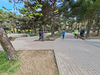 Xətai rayonunda növbəti yaşıllaşdırma tədbiri keçirilib