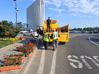 Bir gül də sən ək!