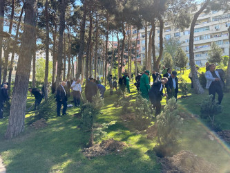  Xətai rayonunda Ümummilli lider Heydər Əliyevin anadan olmasının 103-cü ildönümü münasibətilə silsilə tədbirlər keçirilib.