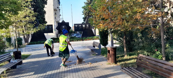 Xətai rayonunda iyul ayı ərzində təmizlik və yaşıllaşdırma tədbirləri davam etdirilib