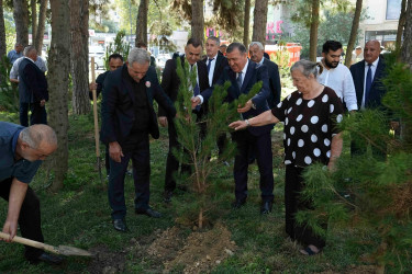 27 Sentyabr – Anım Günü ilə əlaqədar Xətai rayonunda ağacəkmə aksiyası keçirilib və ehsan süfrəsi təşkil olunub