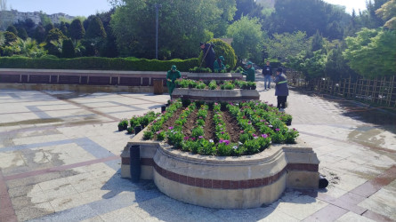 Xətai rayonu ərazisində abadlıq və yaşıllaşdırma işləri davam etdirilir