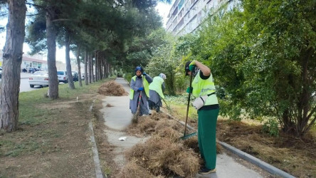 12 sentyabr 2026-cı il tarixində Xətai rayonunda təmizlik və abadlıq iməciliyi keçirilib