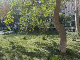 Xətai rayonunda növbəti həyət abadlaşdırılır.