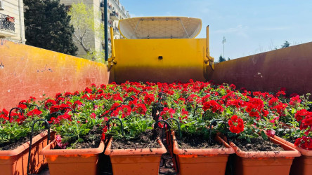 Xətai rayonu ərazisində abadlıq və yaşıllaşdırma işləri davam etdirilir