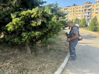05.09.2026-cı il tarixində Xətai rayonunda təmizlik və abadlıq iməciliyi keçirilib