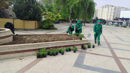 Xətai rayonu ərazisində abadlıq və yaşıllaşdırma işləri davam etdirilir