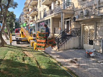 Bir gül də sən ək!