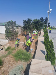 Xətai rayonunda iyul ayı ərzində təmizlik və yaşıllaşdırma tədbirləri davam etdirilib