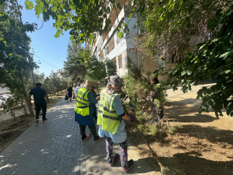 29 avqust 2026-cı il tarixində Xətai rayonunda təmizlik və abadlıq iməciliyi keçirilib
