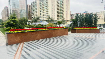 Xətai rayonunda Xocalı soyqırımının 34-cü ildönümü ilə bağlı hazırlıq işləri yekunlaşıb+VİDEO