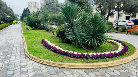 Xətai rayonunda Xocalı soyqırımının 34-cü ildönümü ilə bağlı hazırlıq işləri yekunlaşıb+VİDEO