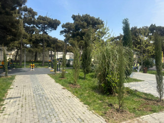 Xətai rayonunda növbəti yaşıllaşdırma tədbiri keçirilib