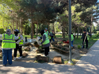  Xətai rayonunda Ümummilli lider Heydər Əliyevin anadan olmasının 103-cü ildönümü münasibətilə silsilə tədbirlər keçirilib.