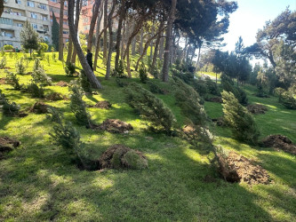  Xətai rayonunda Ümummilli lider Heydər Əliyevin anadan olmasının 103-cü ildönümü münasibətilə silsilə tədbirlər keçirilib.