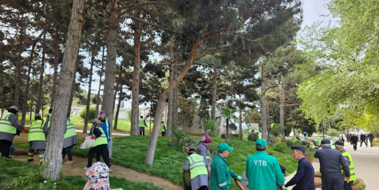 Xətai rayonunda növbəti yaşıllaşdırma tədbiri keçirilib