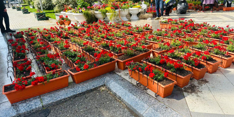 Xətai rayonu ərazisində abadlıq və yaşıllaşdırma işləri davam etdirilir